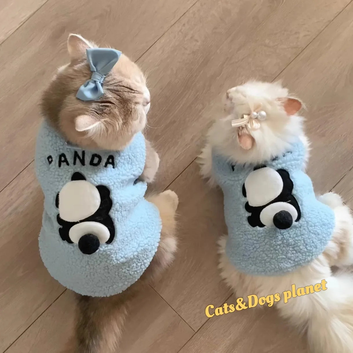 Cute Cat Sweater Soft Cozy Costume Winter Warm Pet Clothes for Cats Katten Sphynx Pullover Sweater Clothing Gatos Small Dogs